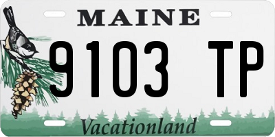 ME license plate 9103TP