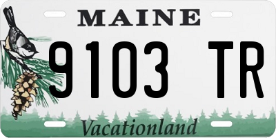 ME license plate 9103TR