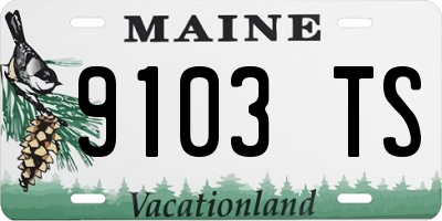 ME license plate 9103TS