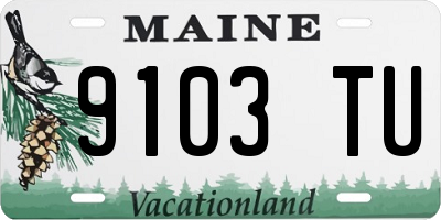 ME license plate 9103TU