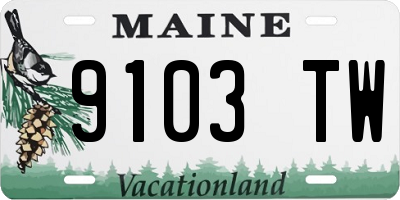 ME license plate 9103TW