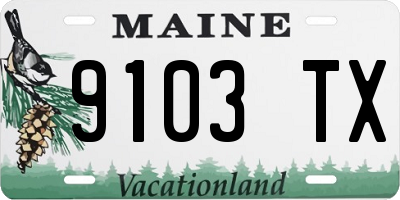 ME license plate 9103TX