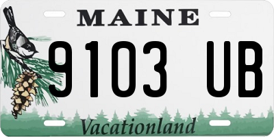 ME license plate 9103UB