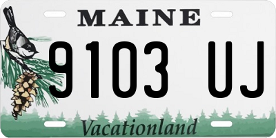 ME license plate 9103UJ