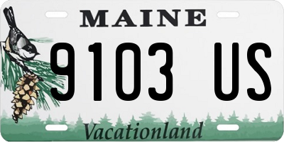 ME license plate 9103US