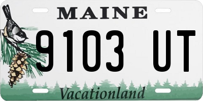 ME license plate 9103UT