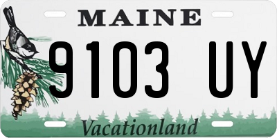 ME license plate 9103UY