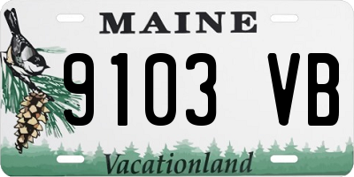 ME license plate 9103VB