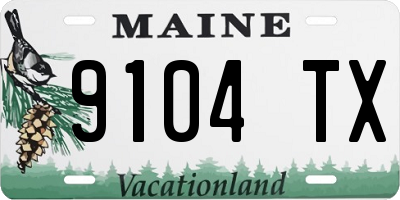 ME license plate 9104TX