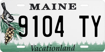 ME license plate 9104TY
