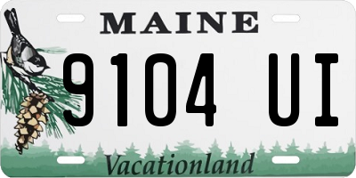 ME license plate 9104UI