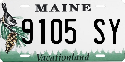 ME license plate 9105SY