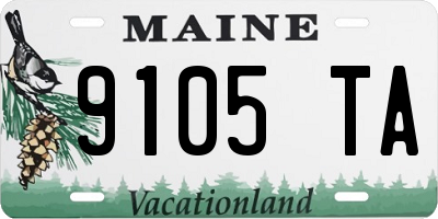ME license plate 9105TA