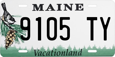 ME license plate 9105TY