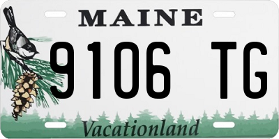 ME license plate 9106TG