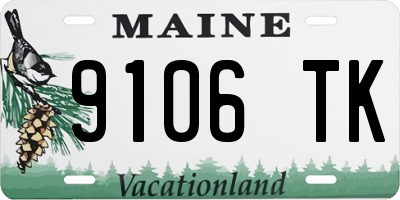 ME license plate 9106TK