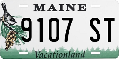 ME license plate 9107ST