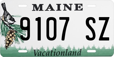 ME license plate 9107SZ