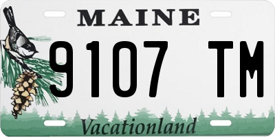 ME license plate 9107TM