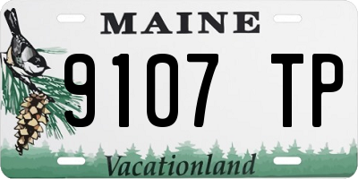 ME license plate 9107TP