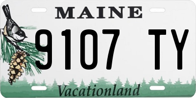 ME license plate 9107TY