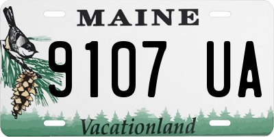ME license plate 9107UA