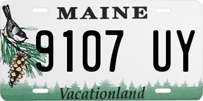 ME license plate 9107UY