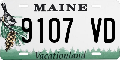 ME license plate 9107VD