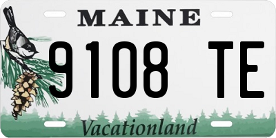 ME license plate 9108TE