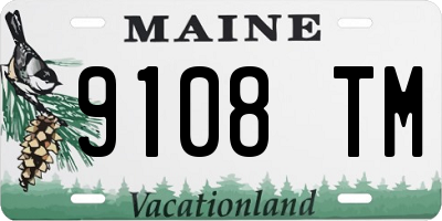 ME license plate 9108TM