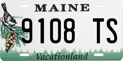 ME license plate 9108TS