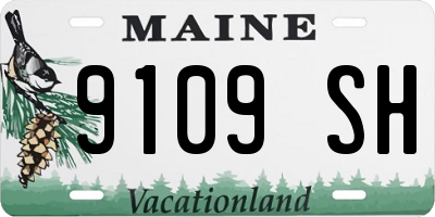 ME license plate 9109SH