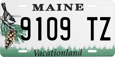 ME license plate 9109TZ