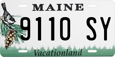 ME license plate 9110SY