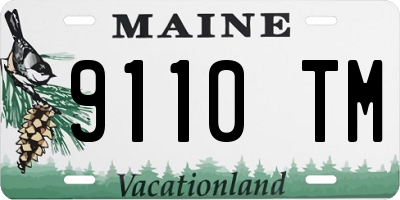 ME license plate 9110TM