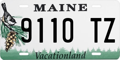 ME license plate 9110TZ