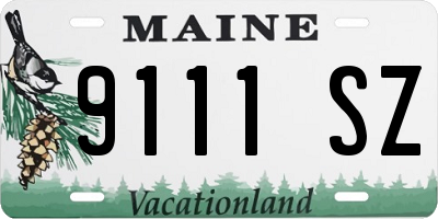 ME license plate 9111SZ