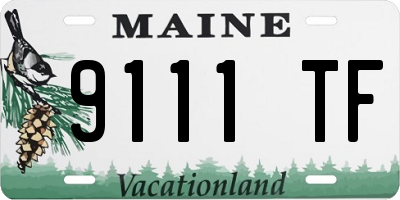 ME license plate 9111TF