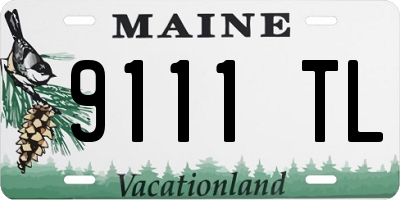 ME license plate 9111TL