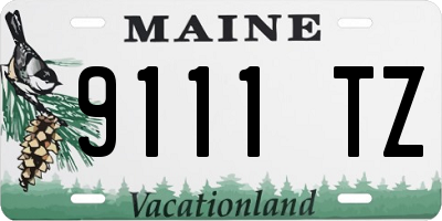 ME license plate 9111TZ