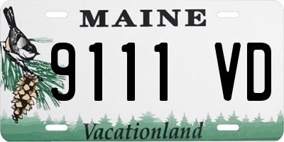 ME license plate 9111VD