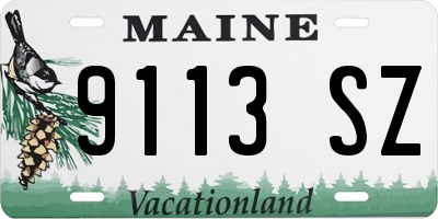 ME license plate 9113SZ
