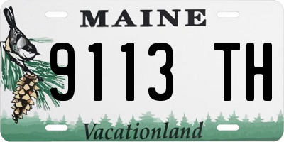 ME license plate 9113TH