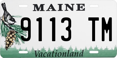 ME license plate 9113TM