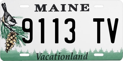 ME license plate 9113TV