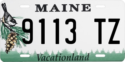 ME license plate 9113TZ