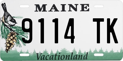 ME license plate 9114TK