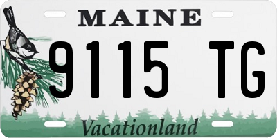 ME license plate 9115TG