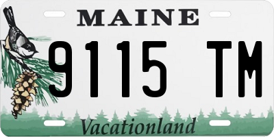 ME license plate 9115TM