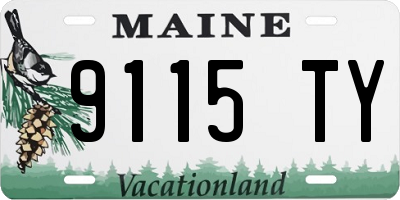 ME license plate 9115TY